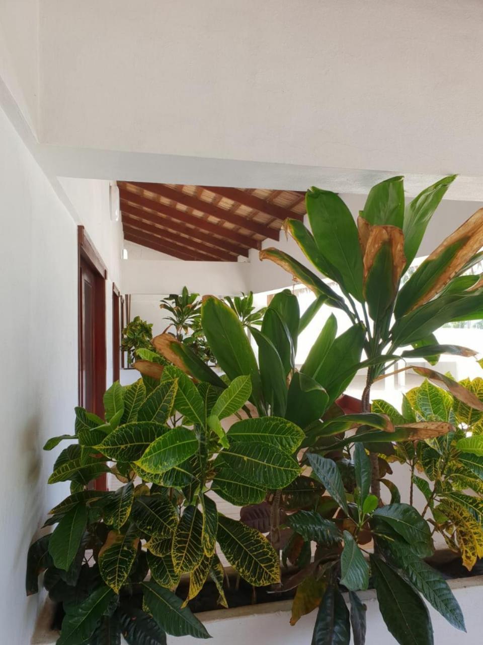 Oasi Encantada - Beach Resort Barahona Eksteriør bilde