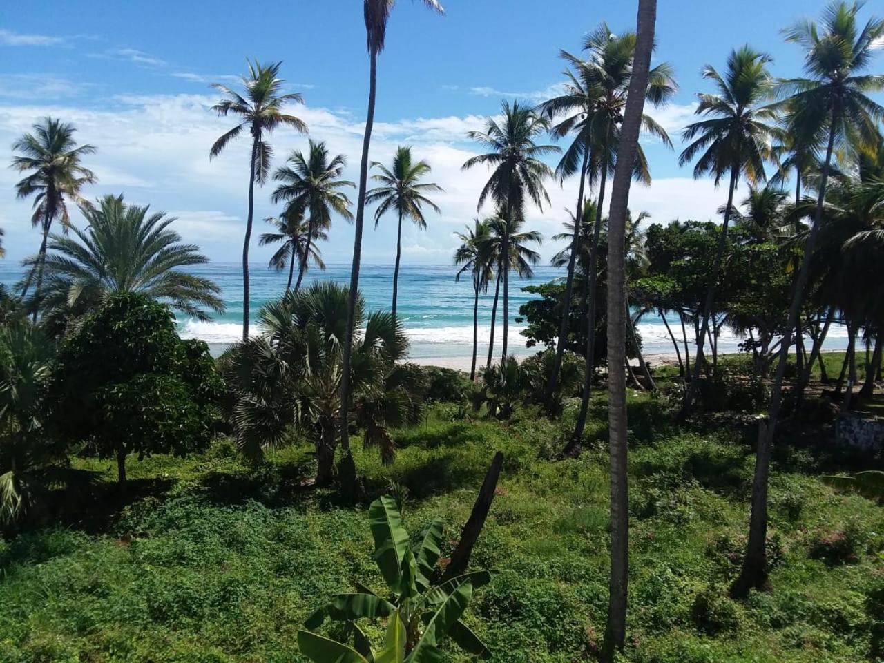 Oasi Encantada - Beach Resort Barahona Eksteriør bilde