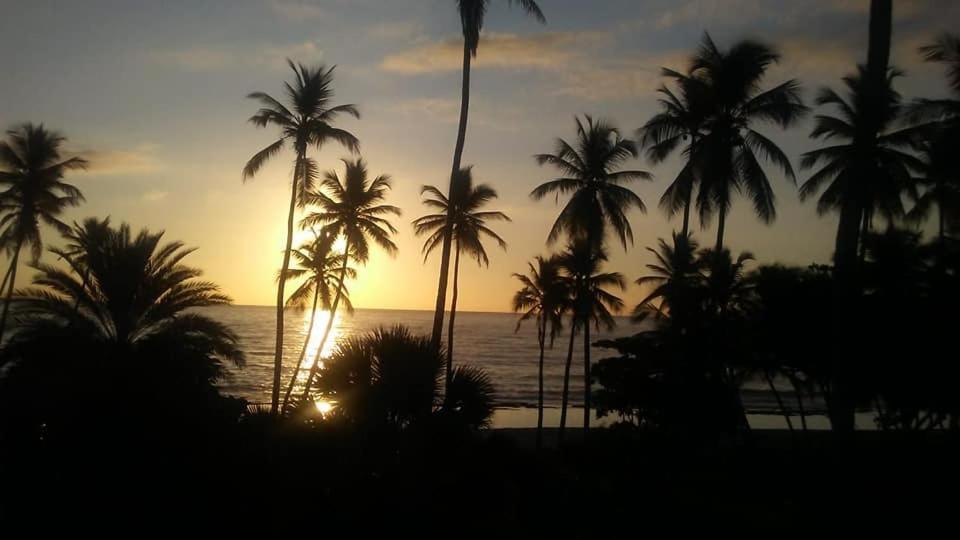 Oasi Encantada - Beach Resort Barahona Eksteriør bilde